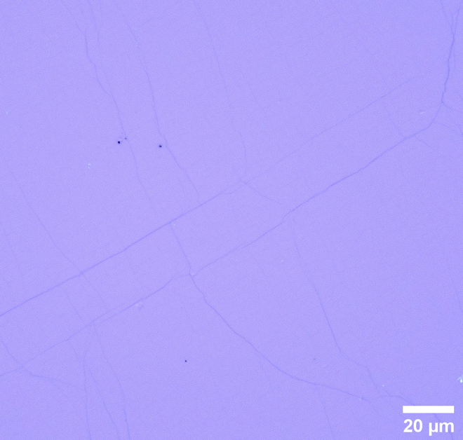 Optical Image of Monolayer Graphene