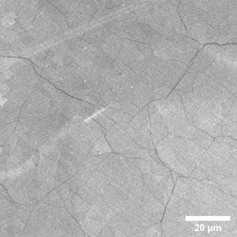 SEM Image of Monolayer Graphene